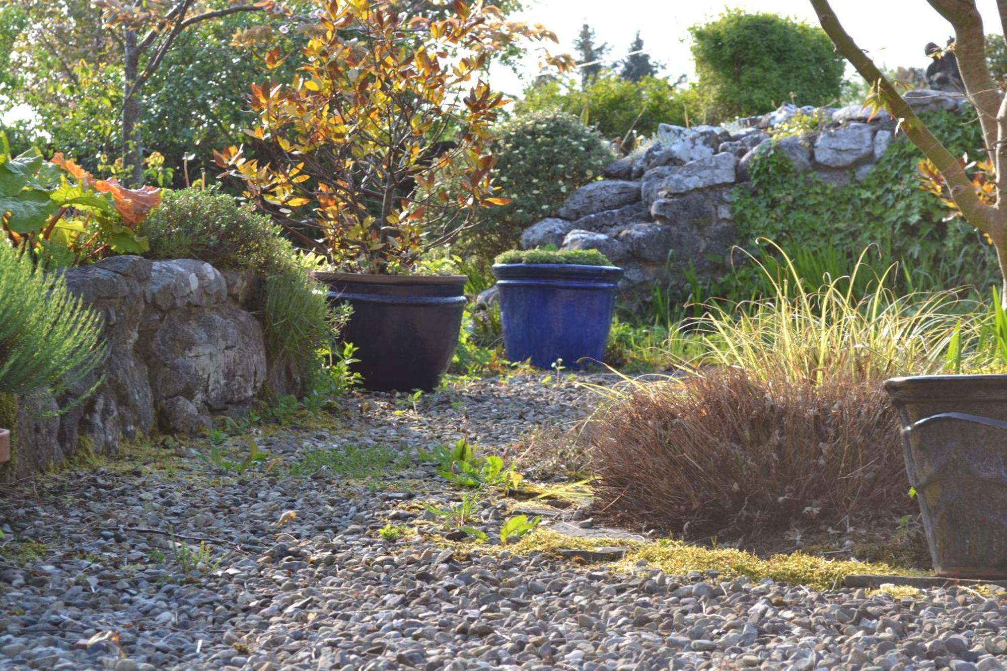 Wild Honey Inn Lisdoonvarna Dış mekan fotoğraf