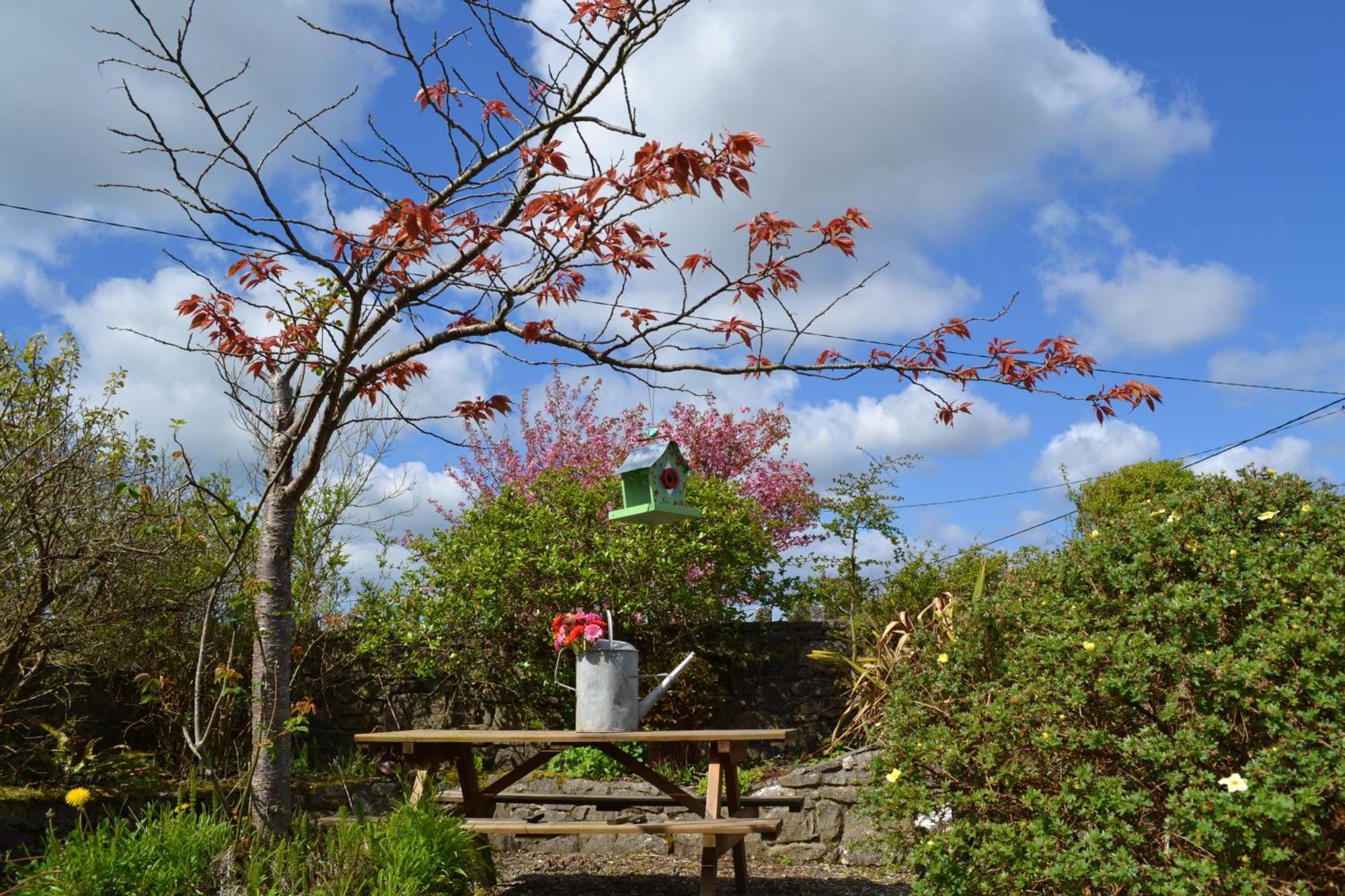 Wild Honey Inn Lisdoonvarna Dış mekan fotoğraf