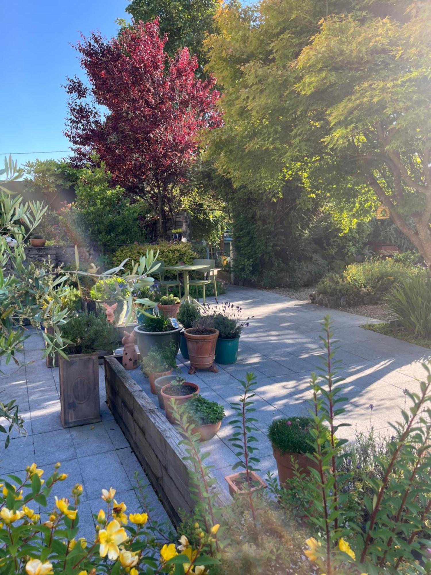 Wild Honey Inn Lisdoonvarna Dış mekan fotoğraf