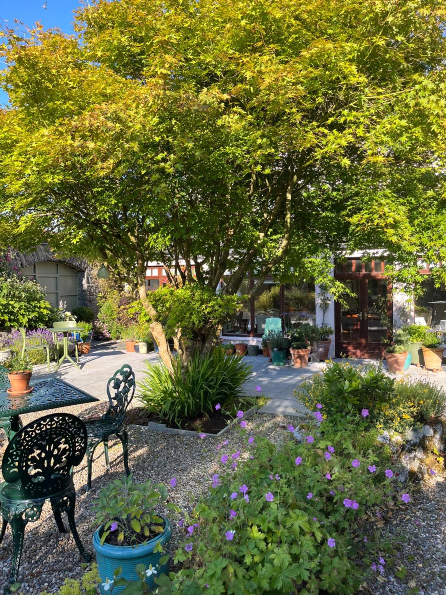 Wild Honey Inn Lisdoonvarna Dış mekan fotoğraf