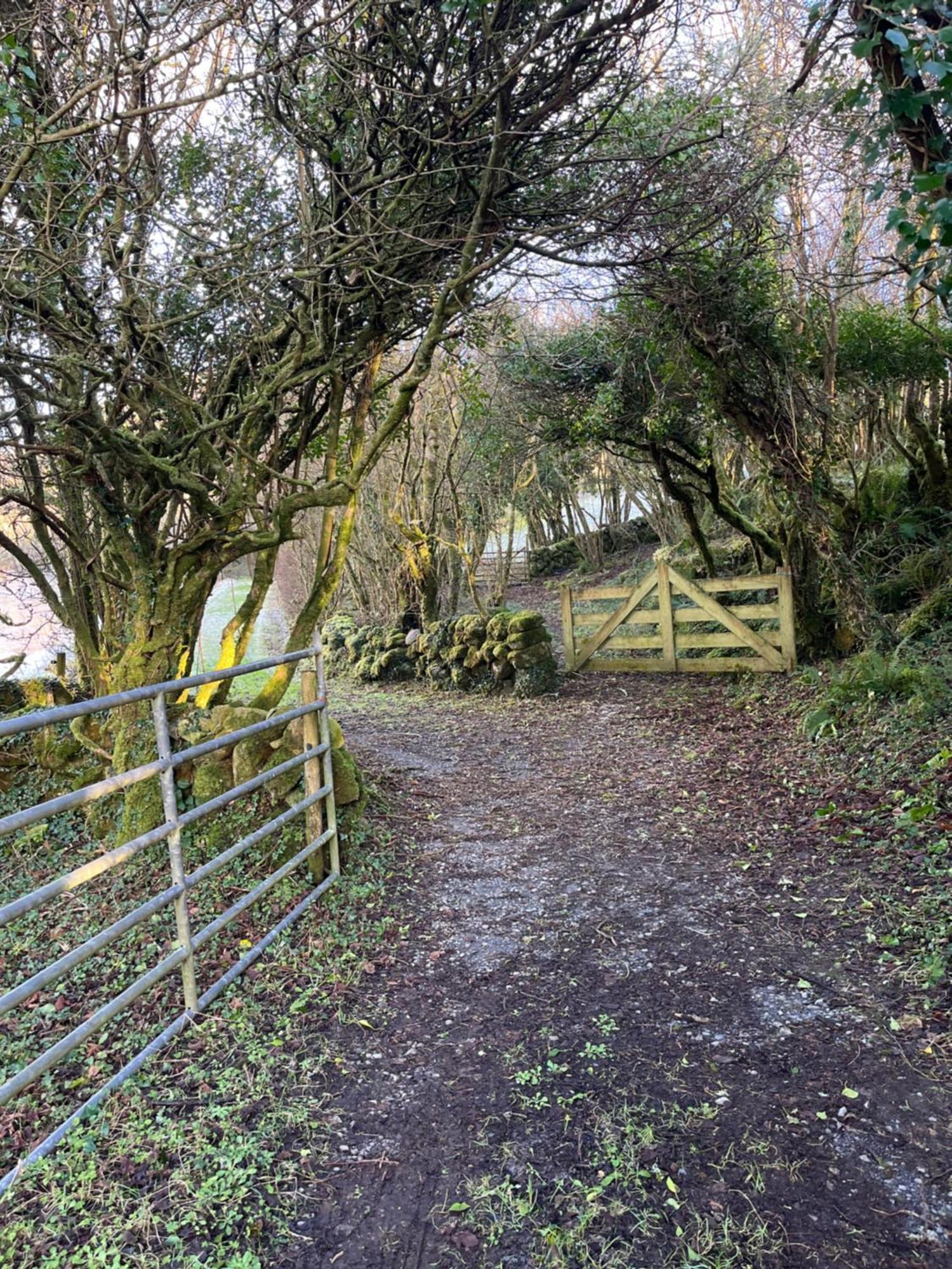 Wild Honey Inn Lisdoonvarna Dış mekan fotoğraf