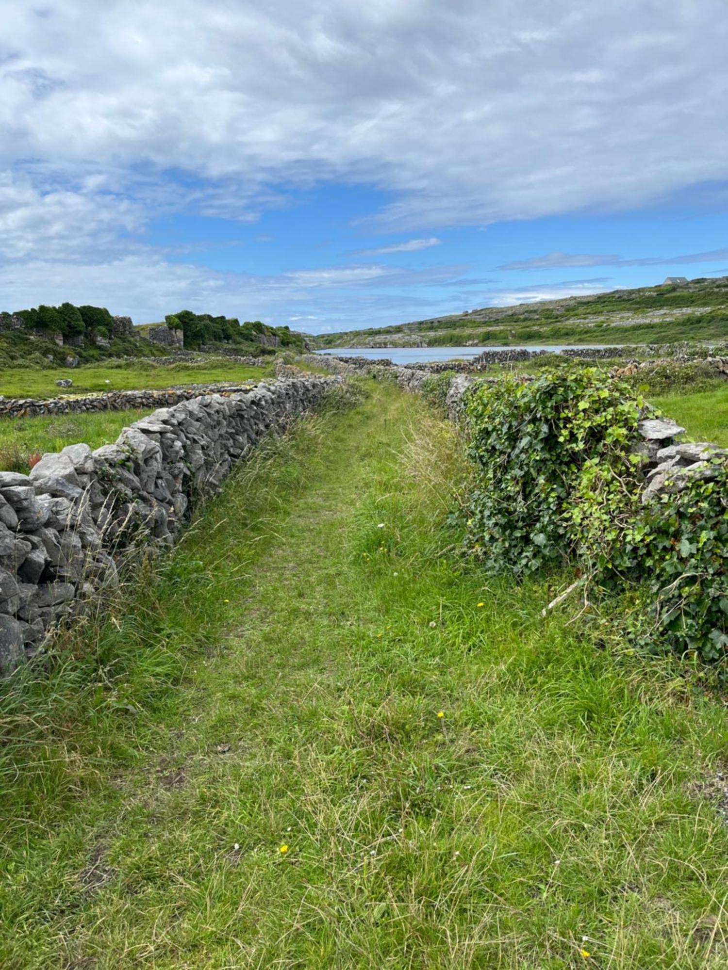 Wild Honey Inn Lisdoonvarna Dış mekan fotoğraf