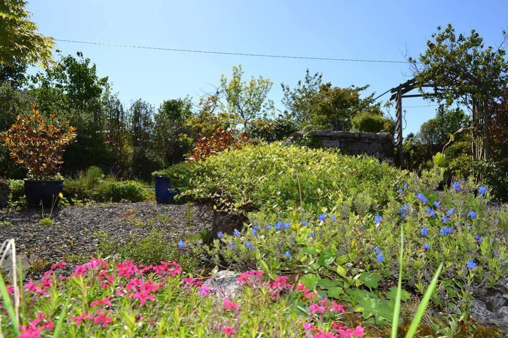 Wild Honey Inn Lisdoonvarna Dış mekan fotoğraf